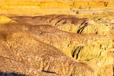 Sincan renkli plaj ılık portre