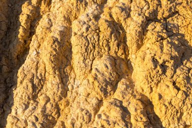 Sincan renkli plaj ılık portre