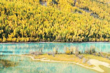 colorful kanas autumn landscape clipart