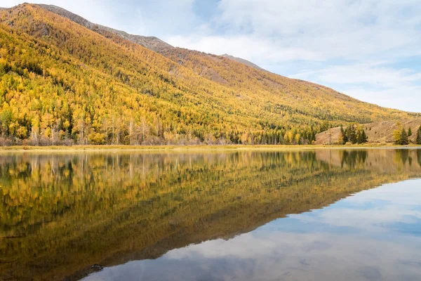 Осенний горный лес и отражение — стоковое фото
