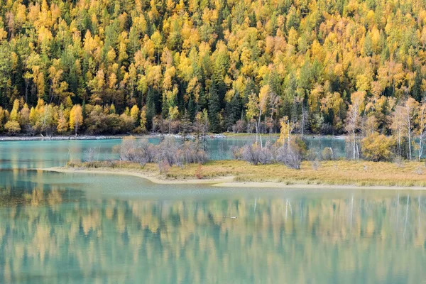 Красочный осенний лес и река — стоковое фото