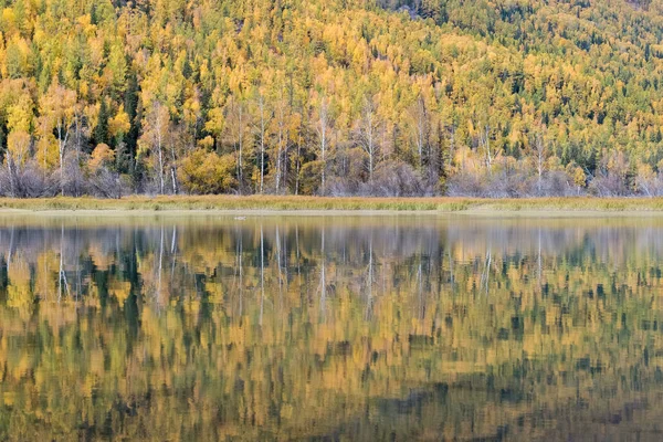 Herbstwald und Besinnung — Stockfoto