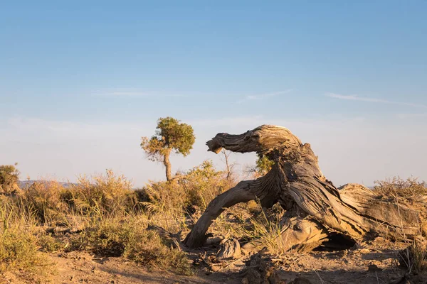 ゴビ砂漠の質量 — ストック写真