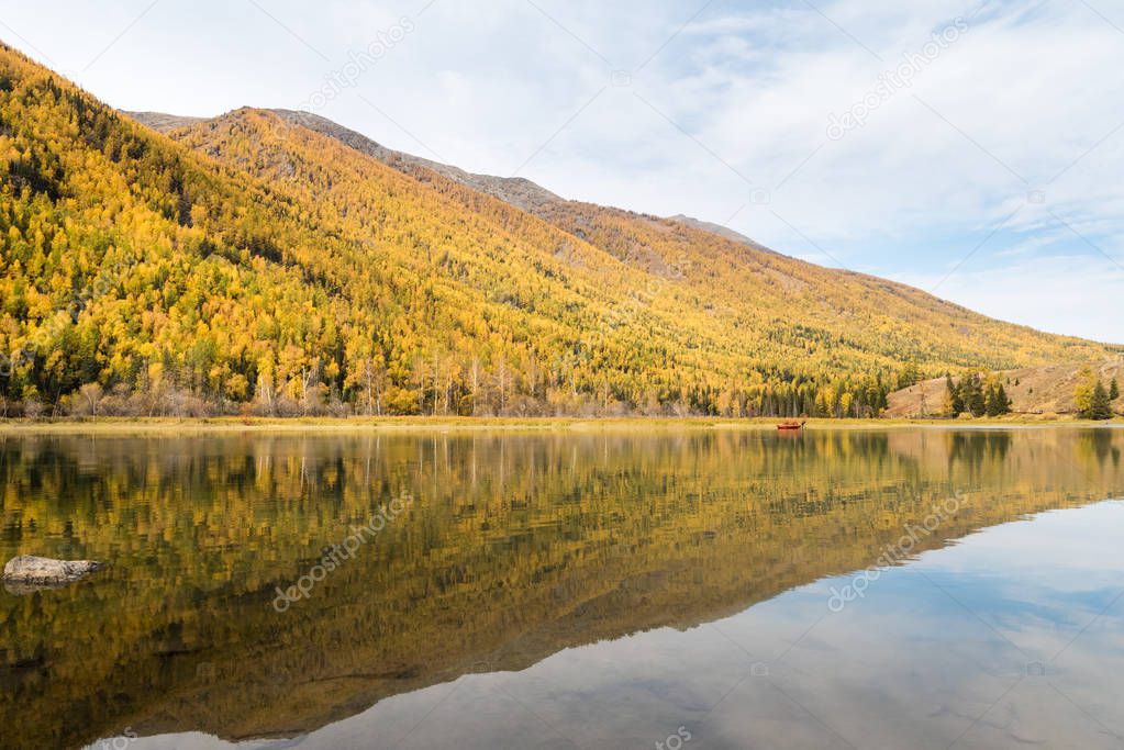 autumn mountain forest and reflection in kanas
