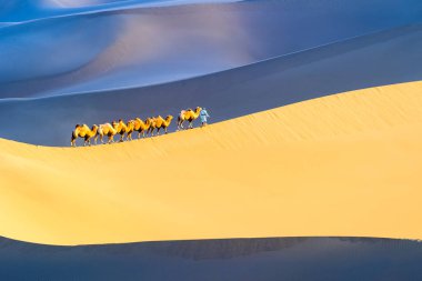beautiful desert landscape of camels walk on the sand dunes clipart