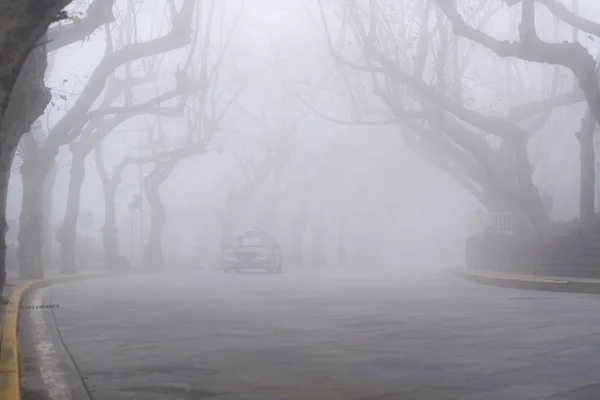 Kühle Straße Nebel Üppige Berglandschaft Provinz Jiangxi China — Stockfoto