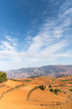 Yunnan kırmızı arazi