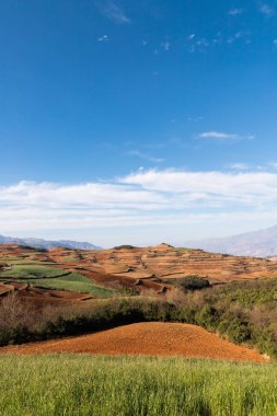 Yunnan kırmızı arazi