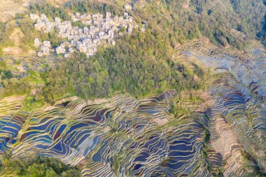 güzel Yuanyang hani Teras alan manzara