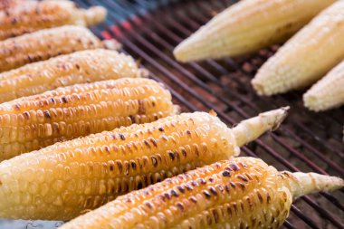 taze mısır ızgara