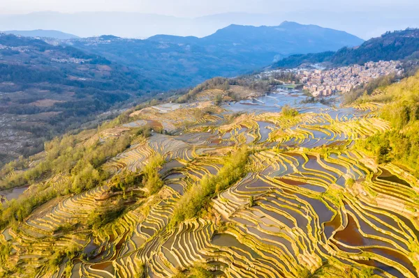 Beautiful terraced field landscape at dusk — Stock Photo, Image