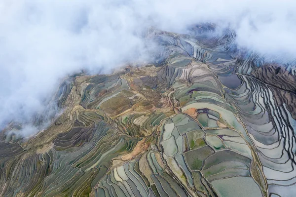 Aerial view of terraced fields in clouds fog — Stock Photo, Image