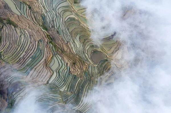 Aerial view of terraced fields — Stock Photo, Image