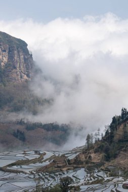 Yunnan Teras alan manzara