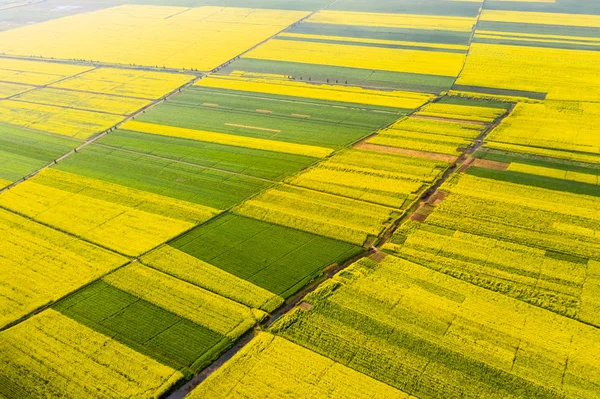 Color de las tierras de cultivo en primavera —  Fotos de Stock