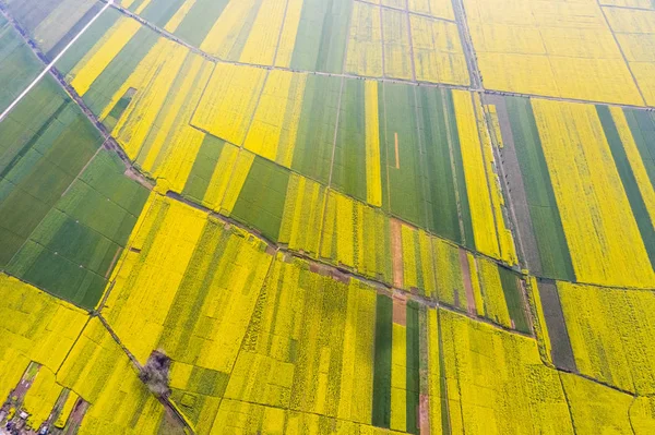 Primavera cor de terras agrícolas — Fotografia de Stock