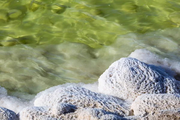 Suolajärven lähikuva suolavedestä ja suolakiteistä — kuvapankkivalokuva