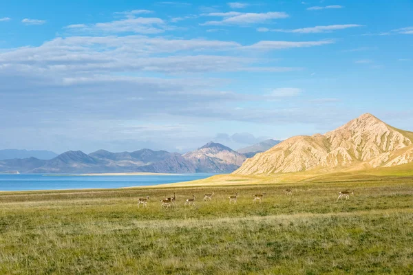 Prachtige drie rivierbronnen natuurreservaat landschap — Stockfoto