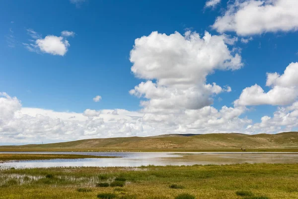 Wasserquellen und Hochland-Feuchtgebietslandschaft — Stockfoto