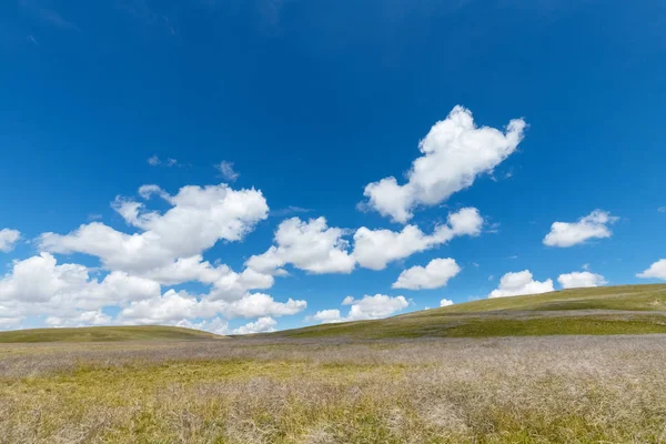 Mavi gökyüzü ve otlak