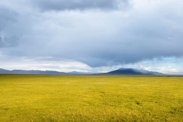 Kinghai travní scenérie — Stock fotografie