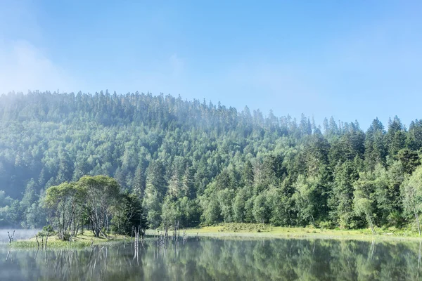Frische Waldlandschaft Schöne Wälder Die Sich See Spiegeln — Stockfoto