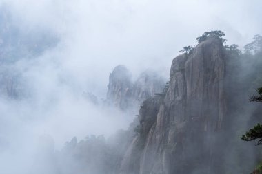 Sanqing dağı bulut sisi içinde, granit sütunlar ve zirveler manzarası, Jiangxi bölgesi, Çin