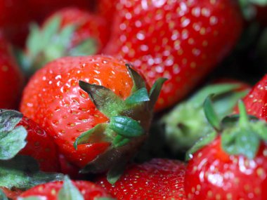 Kahvaltı yemek için güzel olgun çilek Bahçe çilek