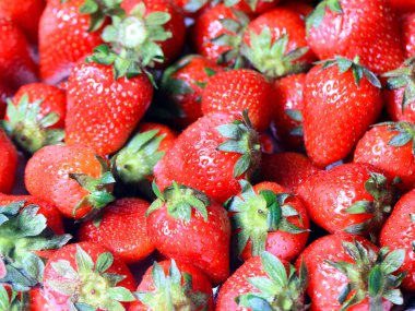 Kahvaltı yemek için güzel olgun çilek Bahçe çilek