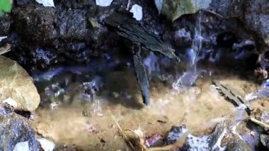 geçerli temiz su toprak yüzeyine düşer