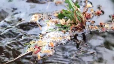 geçerli temiz su toprak yüzeyine düşer