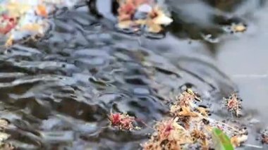 geçerli temiz su toprak yüzeyine düşer