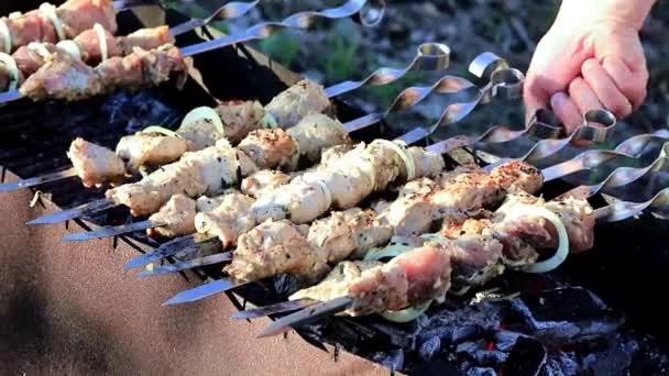 Process Preparation Juicy Roasted Meat Open Fire Brazier — Stock Video