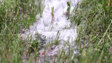 yeşil çim çim üzerinde temiz su akışı