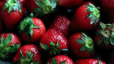 Olgun taze tatlı çilek Bahçe arsa üzerinden güzel bir ürün