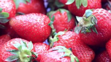Olgun taze tatlı çilek Bahçe arsa üzerinden güzel bir ürün