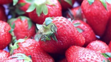 Olgun taze tatlı çilek Bahçe arsa üzerinden güzel bir ürün