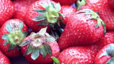 Olgun taze tatlı çilek Bahçe arsa üzerinden güzel bir ürün