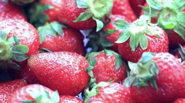 Olgun taze tatlı çilek Bahçe arsa üzerinden güzel bir ürün