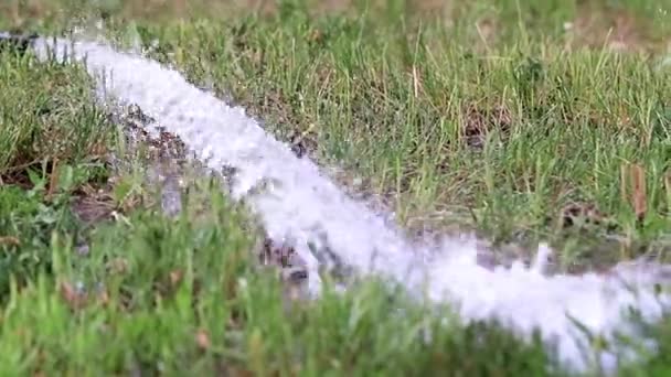 Ström Rent Vatten Grön Gräsmatta — Stockvideo