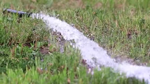 Ruisseau Eau Propre Sur Une Pelouse Herbe Verte — Video