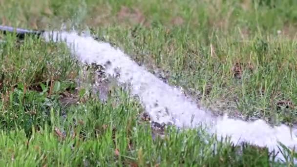 绿草草坪上的一股清水 — 图库视频影像