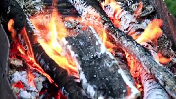 Llama Brillante Pedazos Carbón Ardiendo Brasero — Vídeo de stock