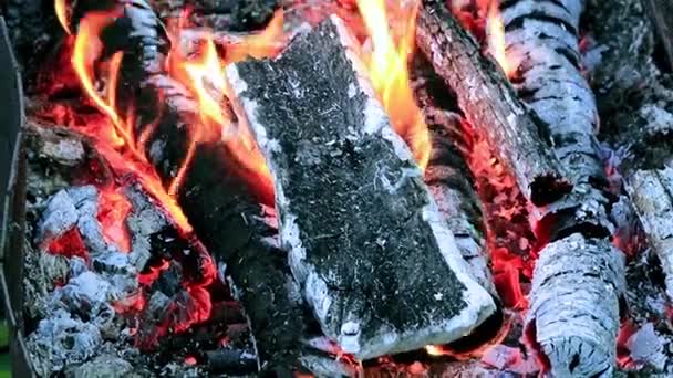 Parlak Alev Yanan Bir Mangal Kömür Parçaları Üzerinde — Stok video