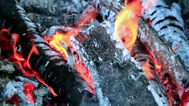 Bright Flame Pieces Charcoal Burning Brazier — Stock Video