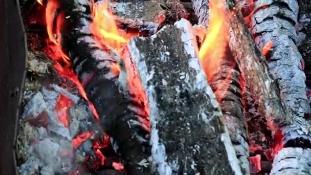 Parlak Alev Yanan Bir Mangal Kömür Parçaları Üzerinde — Stok video