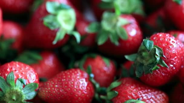 Eine Schöne Ernte Reifer Süßer Erdbeeren Vom Gartengrundstück — Stockvideo