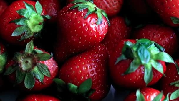 Beautiful Crop Ripe Fresh Sweet Strawberries Garden Plot — Stock Video
