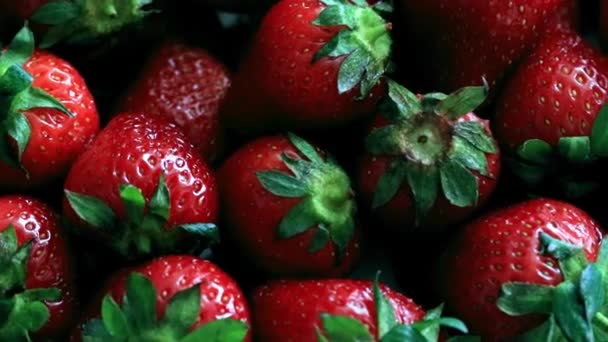 菜園から熟した新鮮な甘いイチゴの美しい作物 — ストック動画