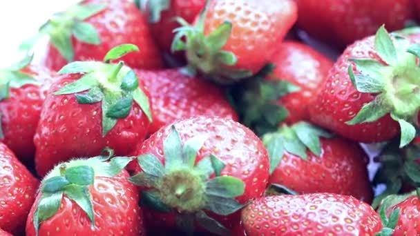 Een Mooie Oogst Van Rijpe Verse Zoete Aardbeien Van Het — Stockvideo